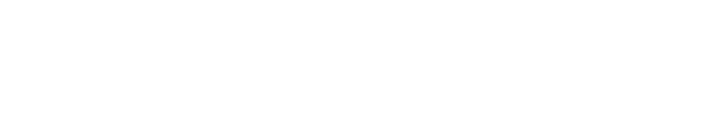 IAN SYSTEMS